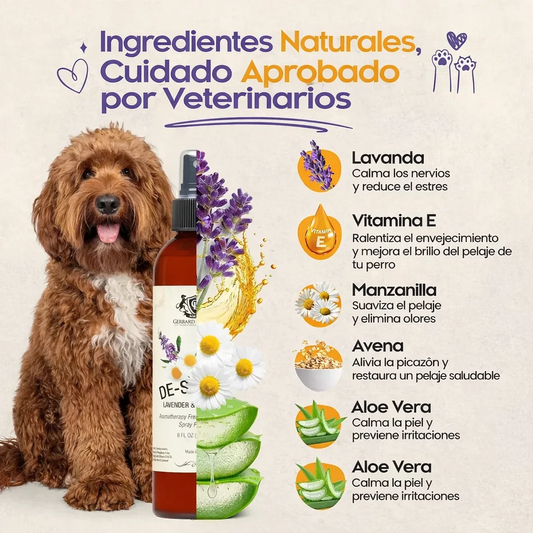 Perfuma, relaja y transforma el estado de tu mascota 🐶✨